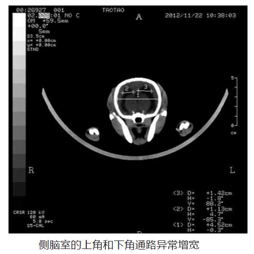 QQ截图20130627103637.jpg