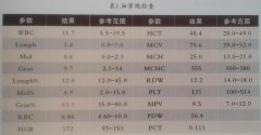 一例藏獒腰椎间柑突出症（瘫痪)的诊疗