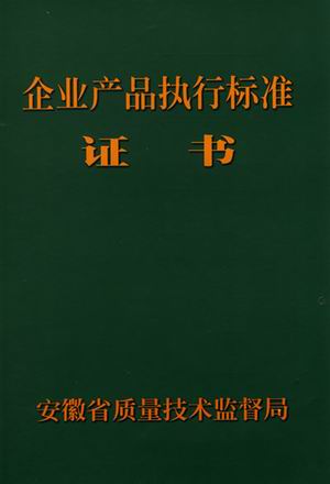 电子影像检查仪执行标准正本